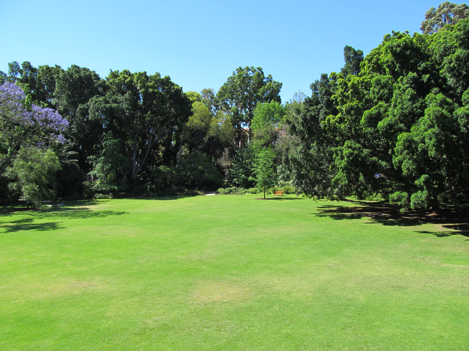 Students relaxing on a university campus lawn